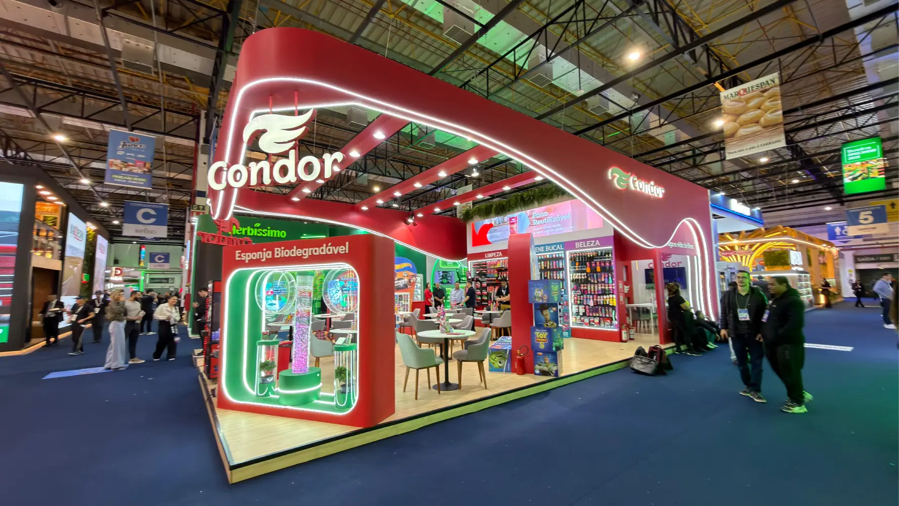 condor5